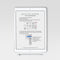 FALL Lettering Practice Sheets, iPad Lettering, Words to Letter Fall Edition - Hewitt Avenue