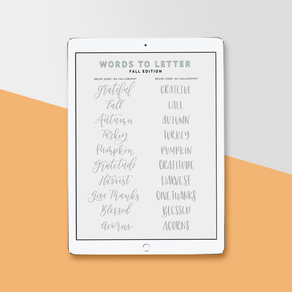 Lowercase Modern Brush Lettering Guide, iPad Lettering, Procreate App,  Learn Calligraphy